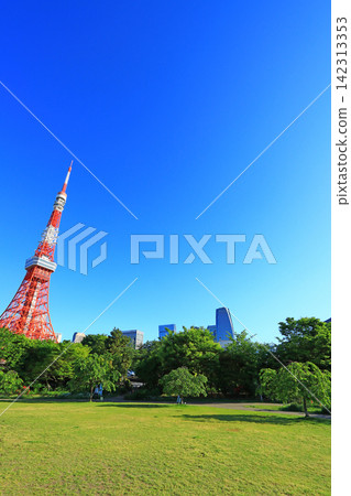 Tokyo Tower and fresh greenery in Minato-ku, Tokyo Tokyo Tower and fresh greenery in Minato-ku, Tokyo 142313353
