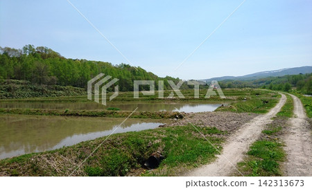 北海道的稻田 北海道的稻田 142313673