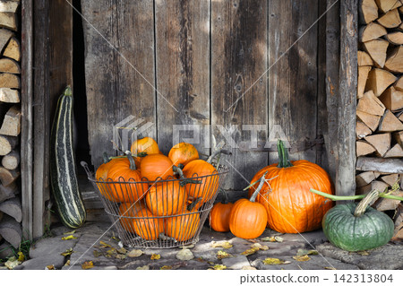 Orange pumpkins in woven basket beside large squash and rustic doorway Orange pumpkins in woven basket beside large squash and rustic doorway 142313804