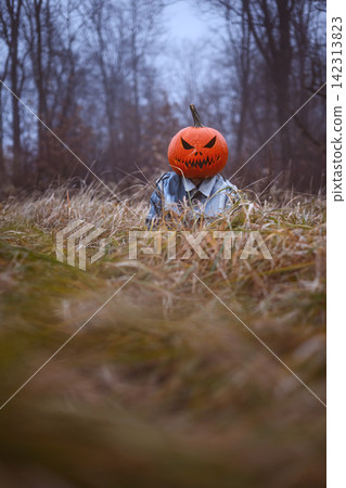 Pumpkin headed scarecrow emerging from autumn grass Pumpkin headed scarecrow emerging from autumn grass 142313823