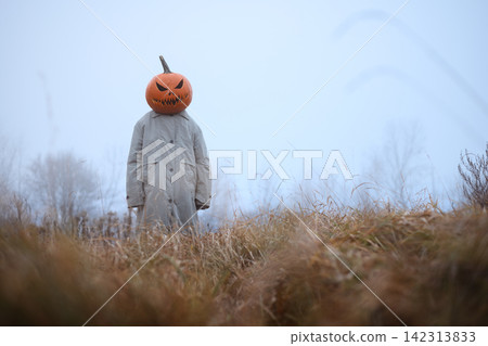 Scarecrow with a jack o lantern head in a foggy field Scarecrow with a jack o lantern head in a foggy field 142313833