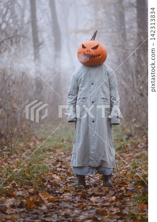Scarecrow with a jack o lantern head standing motionless in a foggy forest Scarecrow with a jack o lantern head standing motionless in a foggy forest 142313834