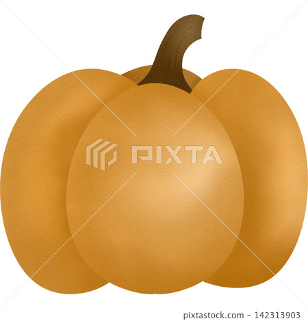 Pumpkin hand drawn illustration Pumpkin hand drawn illustration 142313903