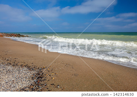 Surfing Wave on a Sandy Beach Surfing Wave on a Sandy Beach 142314630