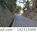 鄉村山路風光 142315090