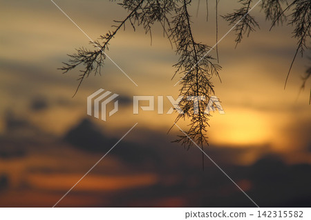 Seaside town of Turgutreis and spectacular sunsets Seaside town of Turgutreis and spectacular sunsets 142315582