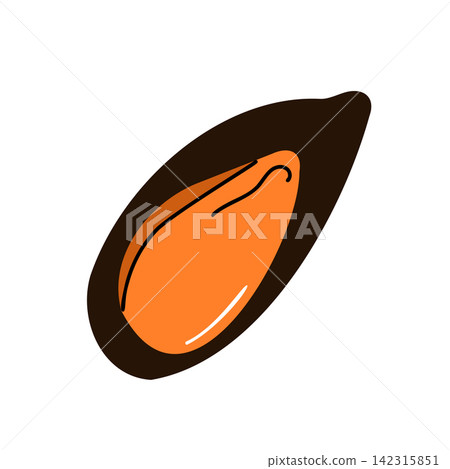 Cooked Black Shell Mussel Illustration Cooked Black Shell Mussel Illustration 142315851