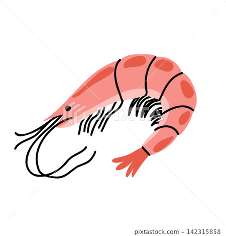 Cooked Pink Shrimp Prawn Hand Drawn Illustration Cooked Pink Shrimp Prawn Hand Drawn Illustration 142315858