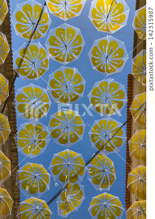 Yellow petal umbrellas hanging in a street art display Yellow petal umbrellas hanging in a street art display 142315987