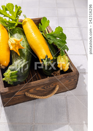 Freshly harvested zucchini and squash in wooden tray Freshly harvested zucchini and squash in wooden tray 142316296
