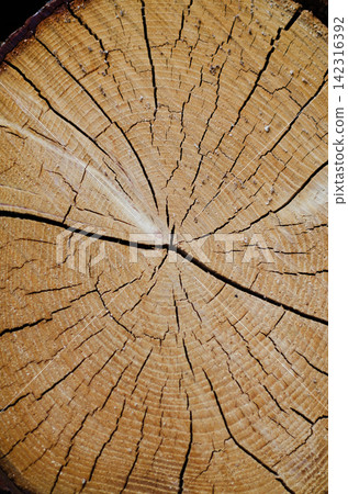 Crack wood spiral Crack wood spiral 142316392
