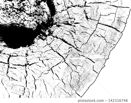 Detailed cracked tree trunk cross section with radial growth ring texture Detailed cracked tree trunk cross section with radial growth ring texture 142316746