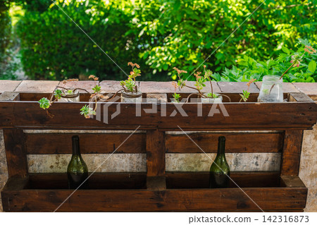 Rustic Mediterranean planter with succulents on traditional countryside terrace Rustic Mediterranean planter with succulents on traditional countryside terrace 142316873