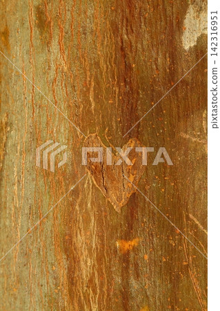 Wooden Texture Background.Cropped Shot Of A Textured Background. Wooden Texture Background.Cropped Shot Of A Textured Background. 142316951