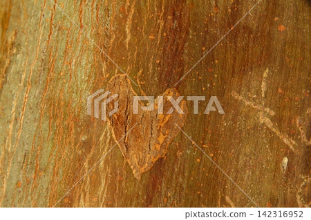 Wooden Texture Background.Cropped Shot Of A Textured Background. Wooden Texture Background.Cropped Shot Of A Textured Background. 142316952
