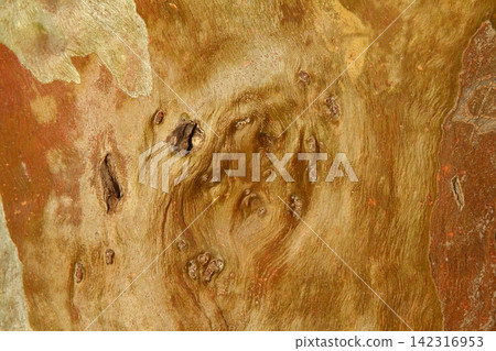 Wooden Texture Background.Cropped Shot Of A Textured Background. Wooden Texture Background.Cropped Shot Of A Textured Background. 142316953