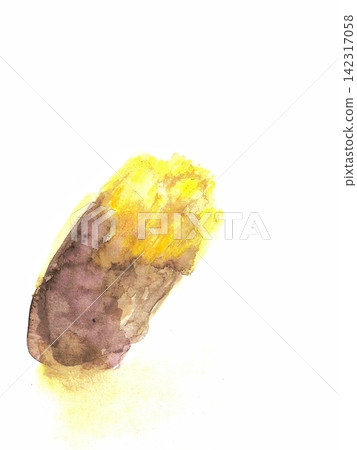 A sweet potato painted in watercolor A sweet potato painted in watercolor 142317058