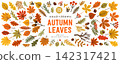 Autumn leaves vector set with 73 hand drawn foliage shapes across oak, maple and aspen tree branches. Editable artwork resizes and recolors without pixelation for stickers, prints and packaging 142317421