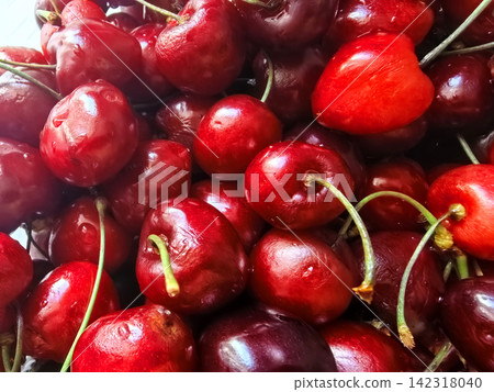 Vibrant cherries glisten in sunlight, inviting a sweet summer experience Vibrant cherries glisten in sunlight, inviting a sweet summer experience 142318040