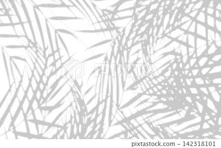 棕櫚葉背景,壁紙,熱帶背景。模糊輪廓。 棕櫚葉背景,壁紙,熱帶背景。模糊輪廓。 142318101