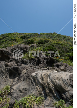 Summer scenery of Jogashima Coast on the Miura Peninsula in Kanagawa Prefecture Summer scenery of Jogashima Coast on the Miura Peninsula in Kanagawa Prefecture 142318201