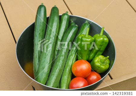 八月,我們自家菜園裡收穫了夏季蔬菜:黃瓜、甜椒、番茄 八月,我們自家菜園裡收穫了夏季蔬菜:黃瓜、甜椒、番茄 142319381