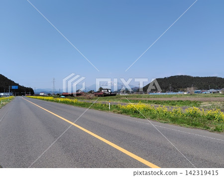 A peaceful scene of a road stretching under a spring blue sky and a field of yellow rapeseed flowers. A peaceful scene of a road stretching under a spring blue sky and a field of yellow rapeseed flowers. 142319415