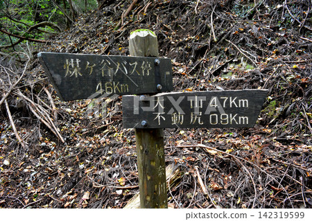Tanitaro Forest Road: A convenient trail course near the capital. Tanitaro Forest Road: A convenient trail course near the capital. 142319599