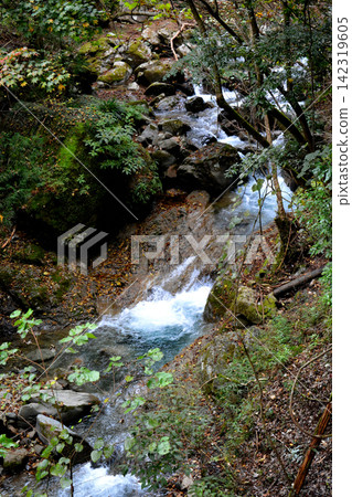 Tanitaro Forest Road: A convenient trail course near the capital. Tanitaro Forest Road: A convenient trail course near the capital. 142319605