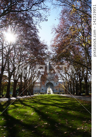 Carlton Gardens, Melbourne, Australia Carlton Gardens, Melbourne, Australia 142319951