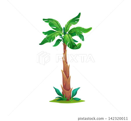 Cartoon jungle palm tree with curved brown trunk and lush green fronds standing on grass. Isolated exotic tropical summer beach plant, symbol of vacation and holiday. Rainforest or desert palm tree 142320011