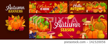Autumn season holiday banners with fall season quotes and leaves foliage, pumpkins and mushrooms. Vector festive Thanksgiving background for market or fair harvest celebration and hello fall greeting Autumn season holiday banners with fall season quotes and leaves foliage, pumpkins and mushrooms. Vector festive Thanksgiving background for market or fair harvest celebration and hello fall greeting 142320056