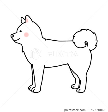 Vector illustration of a Hokkaido dog (full body, side view). Vector illustration of a Hokkaido dog (full body, side view). 142320065