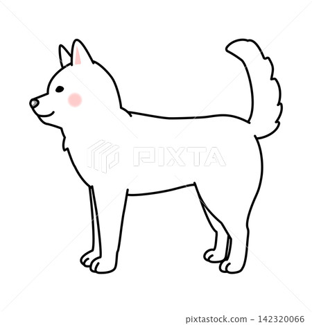 紀州犬的向量插圖(全身像,側視圖) 紀州犬的向量插圖(全身像,側視圖) 142320066