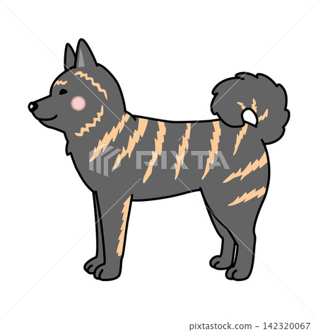 甲斐犬的向量插圖(全身像,側面視圖) 甲斐犬的向量插圖(全身像,側面視圖) 142320067