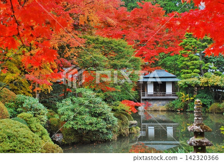 日光山輪王寺和松洋園，秋色正濃。 142320366