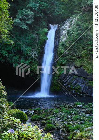 Joren Falls on the Izu Peninsula 142320439