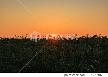 在北海道東部的阿澤奇岬，夕陽西下，落日餘暉灑在草原上，美麗的漸層天空在你眼前展開。 142320613