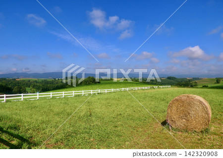 新榮之丘展望公園 - 北海道的夏天(北海道美瑛町) 新榮之丘展望公園 - 北海道的夏天(北海道美瑛町) 142320908