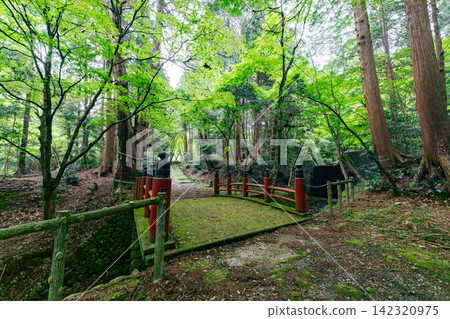 [滋賀縣東近江市]極樂橋、百濟寺 142320975
