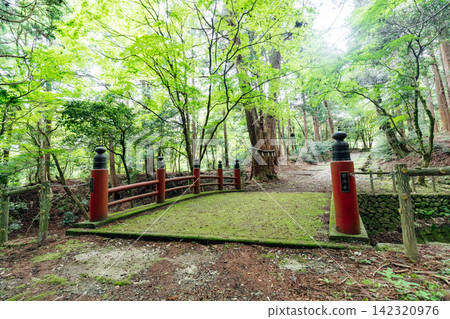 [滋賀縣東近江市]極樂橋、百濟寺 142320976