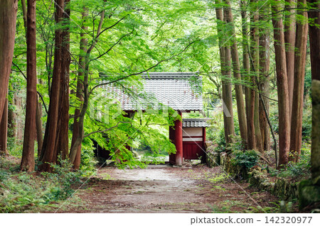 【滋賀縣東近江市】百齋寺:紅門及通往寺廟的鬱鬱蔥蔥綠蔭 【滋賀縣東近江市】百齋寺:紅門及通往寺廟的鬱鬱蔥蔥綠蔭 142320977