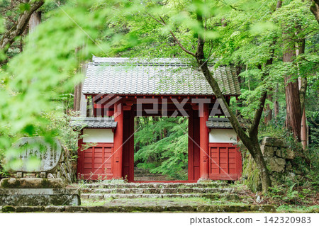 [Higashiomi City, Shiga Prefecture] Hyakusaiji Temple: Red Gate and Fresh Greenery 142320983
