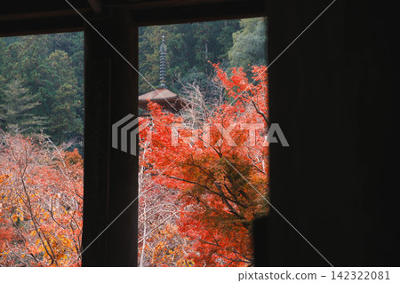 【長谷寺】絢麗的紅色秋葉!奈良深山中寺廟的景色。 【長谷寺】絢麗的紅色秋葉!奈良深山中寺廟的景色。 142322081