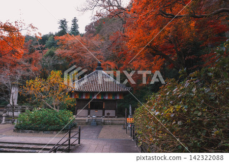 【長谷寺】絢麗的紅色秋葉!奈良深山中寺廟的景色。 【長谷寺】絢麗的紅色秋葉!奈良深山中寺廟的景色。 142322088