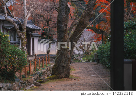 [Hase-dera Temple] Stunningly vibrant red autumn leaves! Scenery of a temple deep in the mountains of Nara. 142322118