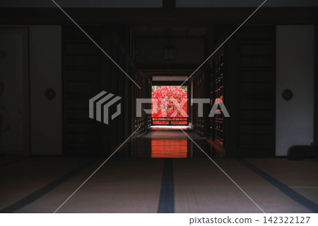 【長谷寺】絢麗的紅色秋葉!奈良深山中寺廟的景色。 【長谷寺】絢麗的紅色秋葉!奈良深山中寺廟的景色。 142322127