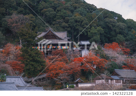 【長谷寺】絢麗的紅色秋葉!奈良深山中寺廟的景色。 【長谷寺】絢麗的紅色秋葉!奈良深山中寺廟的景色。 142322128