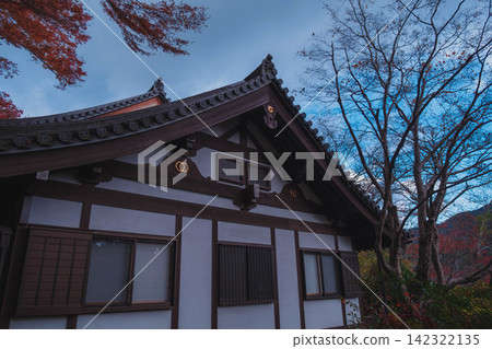 [Hase-dera Temple] Stunningly vibrant red autumn leaves! Scenery of a temple deep in the mountains of Nara. 142322135