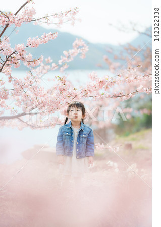 A 3-year-old girl enjoying cherry blossom viewing under the Kawazu cherry trees. A 3-year-old girl enjoying cherry blossom viewing under the Kawazu cherry trees. 142322338